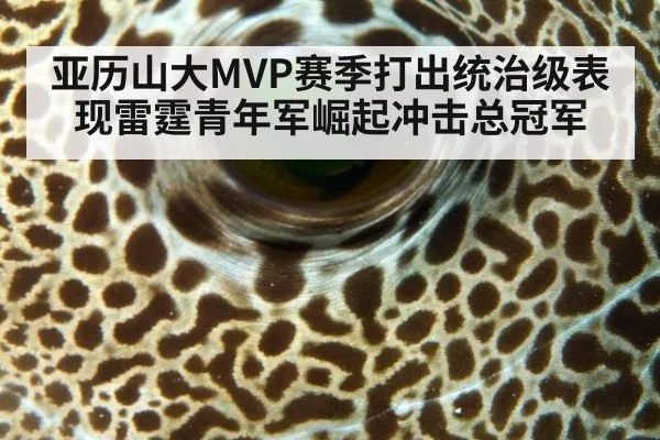 亚历山大MVP赛季打出统治级表现雷霆青年军崛起冲击总冠军